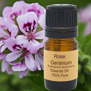 8d6d7ac8f89ee6206e69123a6e1feb70 Geranium Essential Oil